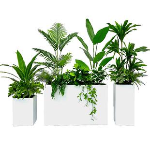 喜语仿真花天堂鸟散尾葵落地绿植花箱植物景观餐厅咖啡店植物隔断