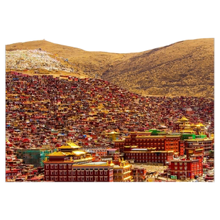 成都包车四川九寨沟川西稻城亚丁鱼子西色达毕棚沟川藏线包车旅游