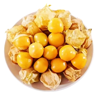 正宗精品东北姑娘果应当季新鲜罕见水果黄洋红花菇娘果特大果整