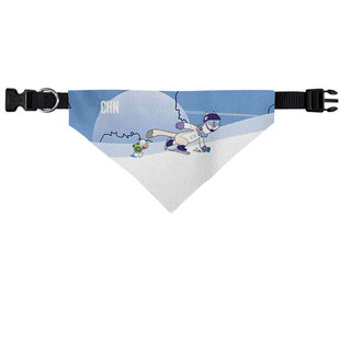 中国队2026米兰科尔蒂纳助威冬奥会宠物口水巾狗狗猫咪三角巾围脖