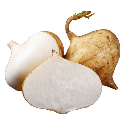 2025云南现挖特产新鲜凉薯