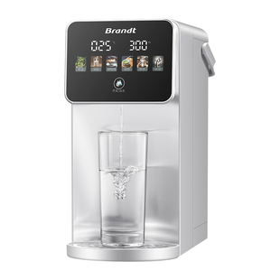 Brandt白朗不锈钢饮水机即热式家用桌面饮水器直饮热水机电烧水壶