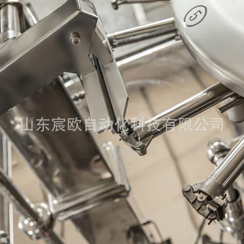 自动称重粉剂预制袋包装机 水平给袋式果脯包装机 调味粉末包装机