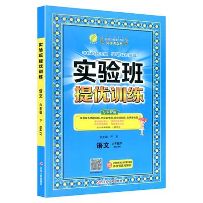 2024春 新版实验班提优训练语文六年级下册人教版RMJY春雨教育尖子生高分拔尖提优小学级6年级语文同步练习辅导测试题教辅资料用书