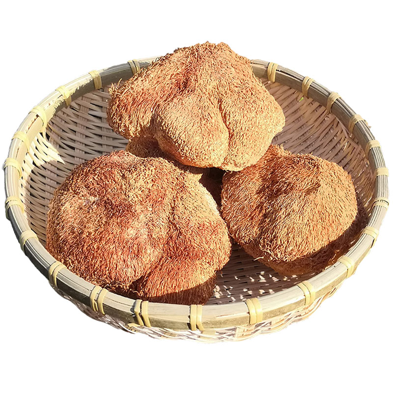 猴頭菇東北黑龍江伊春非野生特產(chǎn)級(jí)干貨蘑菇食用菌煲湯散裝250g