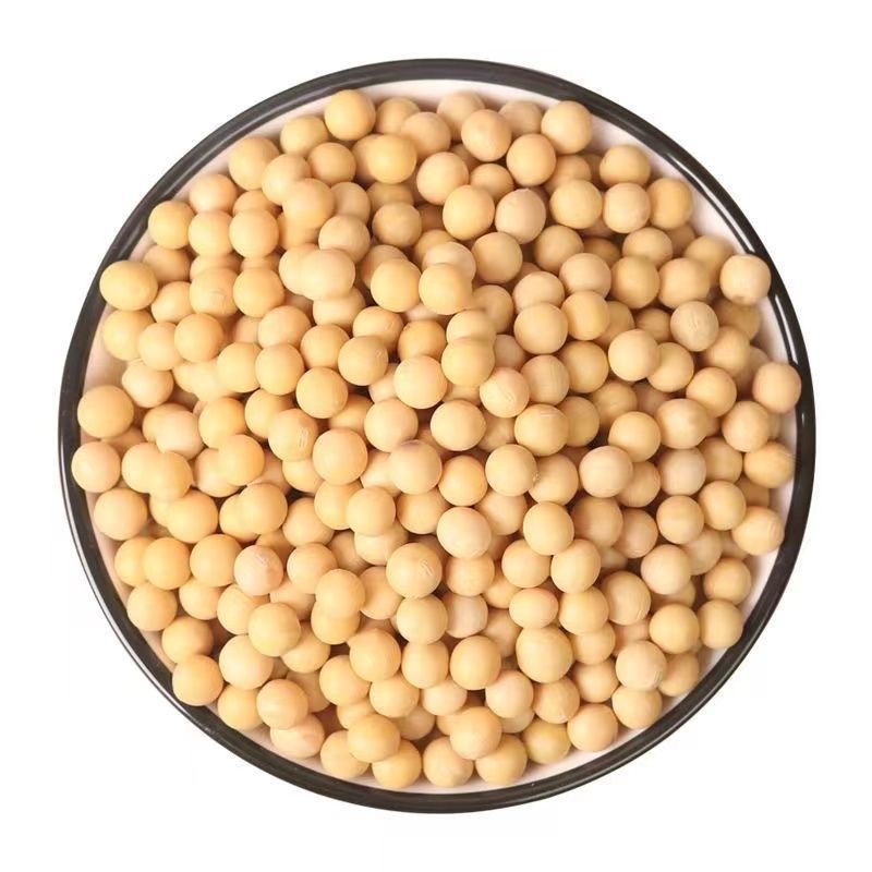 【净重发货】25年新黄豆袋装黑龙江高蛋白豆腐大豆农家非转基因豆