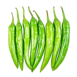 杭椒二七号辣椒苗子杭椒7号杭椒2号杭椒6号高产香辣四季种苗春季