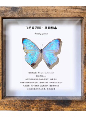 复古中空2cm标本展示框摆挂两用