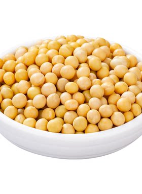 非转基因农家黄豆打豆浆发豆芽
