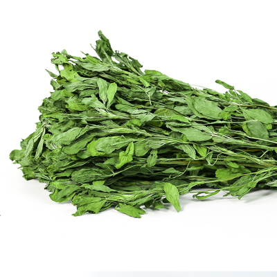 烘干苜蓿草蛋白纤维草
