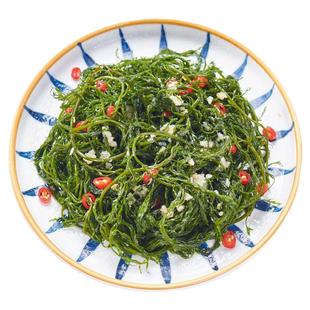鞭炮笋海草凉拌菜盐渍马尾藻火锅食材海麻辣烫炮仗笋长寿菜鞭泡笋