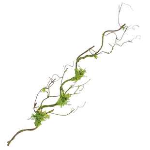 仿真苔藓青苔枯树枝树藤条树杈绿植物背景墙弯曲造型造景摆放装饰