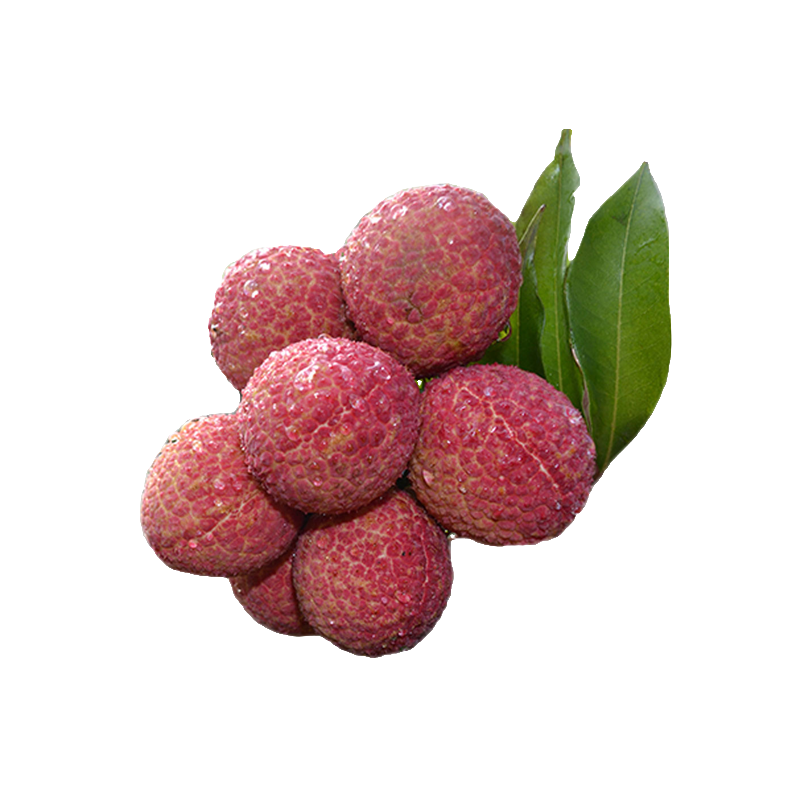 無(wú)核荔枝 海南澄邁無(wú)籽荔枝5特大并蒂鴛鴦紅新鮮采摘現(xiàn)摘現(xiàn)發(fā)空運(yùn)