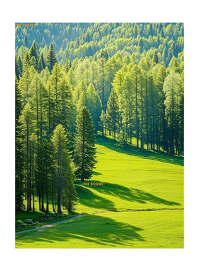 森林大树青山绿色自然风景墙贴山水画靠山招财玄关客厅书房自粘贴