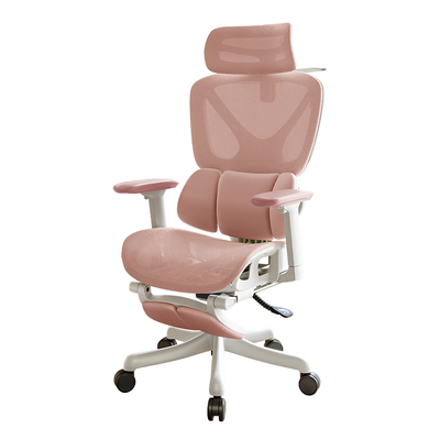 【国家补贴15%】女生人体工学椅