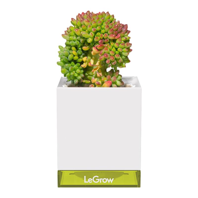 LeGrow积木花园 自动吸水花盆