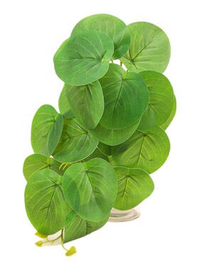 仿真绿植壁挂植物室内装饰拍摄
