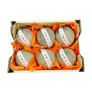 正宗冈藤蜜瓜整箱6个礼盒装静冈牛三网纹蜜瓜玫珑瓜哈密瓜软肉