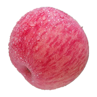 山东红富士苹果水果正品批发价