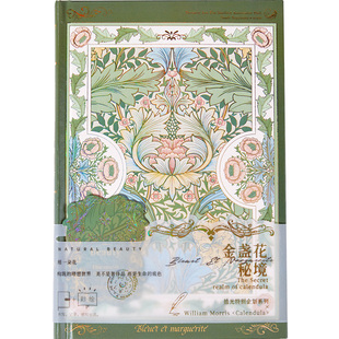 2025新款拾光插画硬烫金封面笔记本A5精装本烫金工艺再芸纸不漏墨不断墨精美复古记事本赠书签