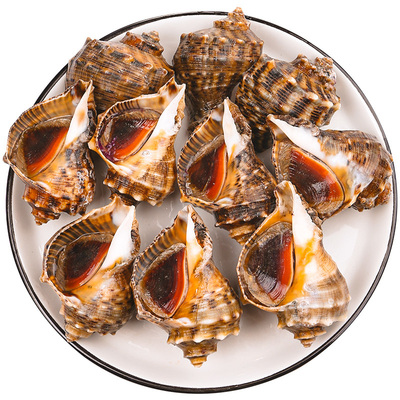 鲜活大连红里螺3斤装顺丰空运