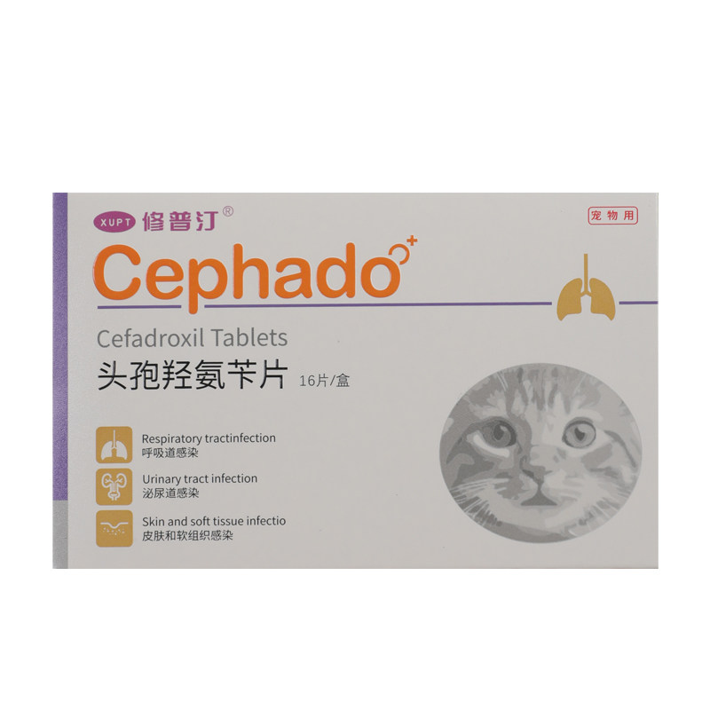修普汀猫咪狗狗消炎药宠物尿路感染皮肤炎肠耳炎泌尿头孢羟氨苄片