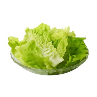 良道天成【有机意大利生菜】新鲜应季蔬菜无农残沙拉顺丰包邮