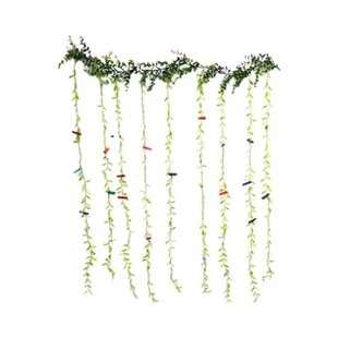 创意麻绳假花挂照片ins墙面装饰挂件房间布景墙上挂相片墙高级感