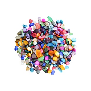 贝壳散颗粒儿童手工diy制作自然材料配件幼儿园美工区区域材料