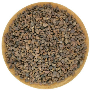 中药材 特级女贞子500g克 正品女贞子茶 野生女贞子粉 散装新货