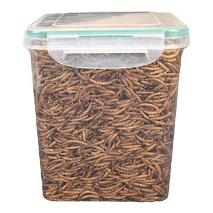 乌龟零食面包虫干黄粉虫巴西龟龟粮鹦鹉仓鼠鱼饲料高营养用品零食