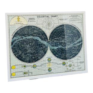 Cavallini拼图1000片美国进口美式复古成人益智玩具治愈裱框天体