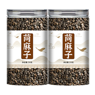 苘麻子中药材麻果籽青麻子野生白麻籽苘实顷麻子麻果子粉麻梭子粉