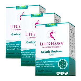 舒伯特益生菌养胃粉调理肠胃养胃护胃成人肠胃消化养护胃粘膜3盒