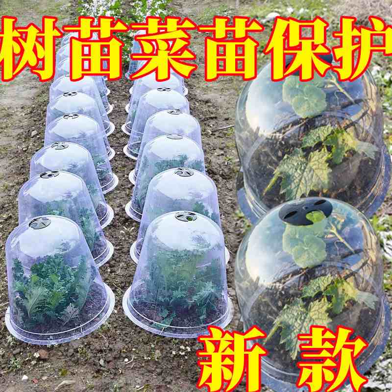 菜地保温罩蔬菜育苗保温加厚塑料透气种植保护幼苗透明植物闷恒温