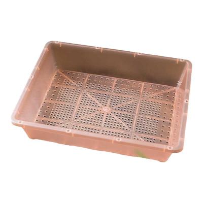 花一天堂透粉育苗播种盘筐