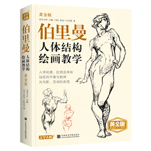 美学大师黄金版伯里曼人体结构绘画教学人物速写入门手绘基础临摹书描摹本构造解剖教材人体素描书籍原理和教程素描速写美术生专用