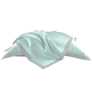 绣娘丝绸新款真丝枕套单面100%桑蚕丝礼盒送礼单个凉感天丝枕头套