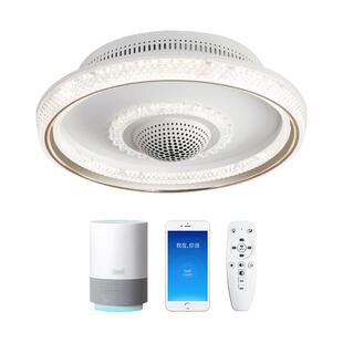 泥鸥隐形风扇灯360度摇头电扇餐厅卧室吸顶灯2026新款无叶风扇灯