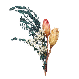 桃女郎永生莲花帝王花佛塔莲干花花束满天星家居摆设客厅桌面软装