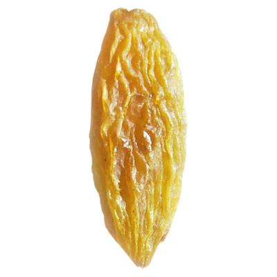 奶茶烤面包蛋糕烘焙小批2500g发