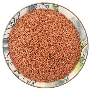 褚实子褚实籽 楮实子 褚实米 楮桃构树果 构树子500克