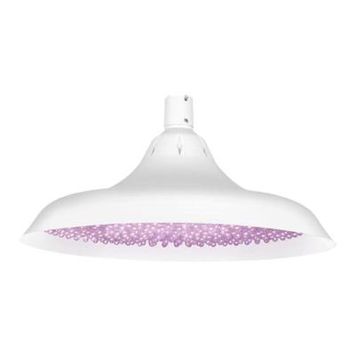 新国标新规充电生鲜灯超长续航