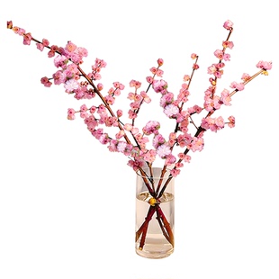 水培植物珍珠李鲜切枝带花苞雪柳红梅花卉腊梅花办公室内好养植物