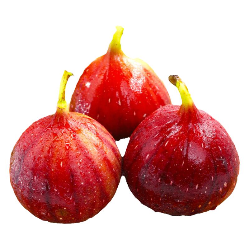 顺丰红皮无花果鲜果5斤现摘包邮