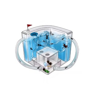 双层蚂蚁工坊蚁巢农场庄园蚂蚁城堡活体生态别墅送蚁后儿童礼品