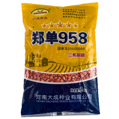 郑单玉米种子高产量四季大田