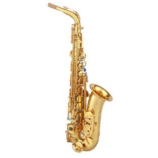 泰山中音萨克斯管乐器风TSAS-760考级初学儿童成人降E调专业演奏