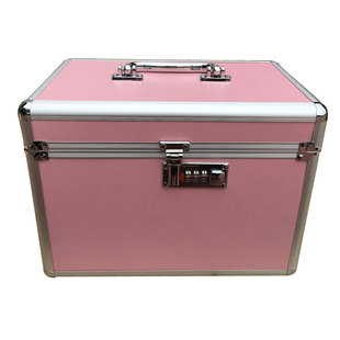 密码锁铝合金化妆箱手提双层足疗技师工具箱收纳箱纹绣美甲整理箱