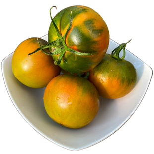 盘锦碱地绿腚脆柿子现摘新鲜铁皮油柿子丹东草莓西红柿自然熟番茄